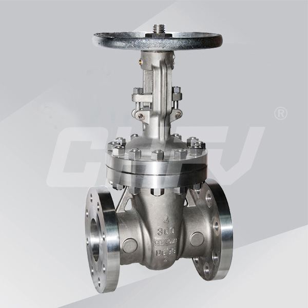 Titanium gate valve