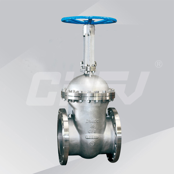 Large-diameter stainless steel gate valve